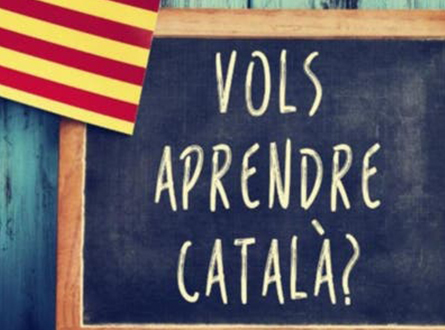 https://www.centrecatala.cl/wp-content/uploads/2021/12/imagen_3.jpg